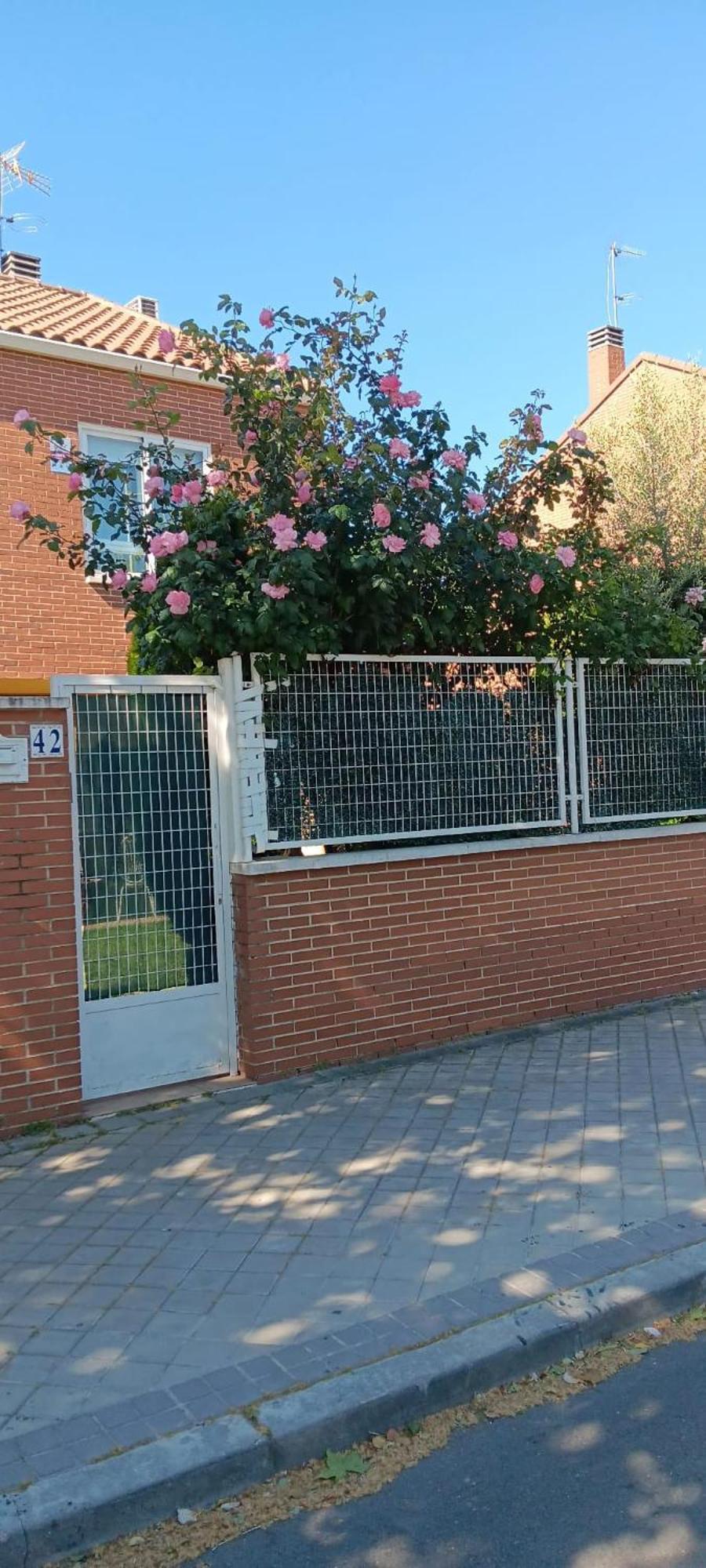 Villa Lendi Rivas-Vaciamadrid Dış mekan fotoğraf
